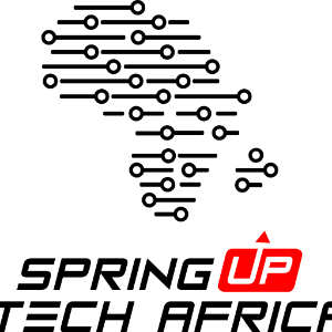 Springuptech Africa